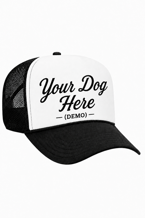 Customized Hollywood Dog Club Hat